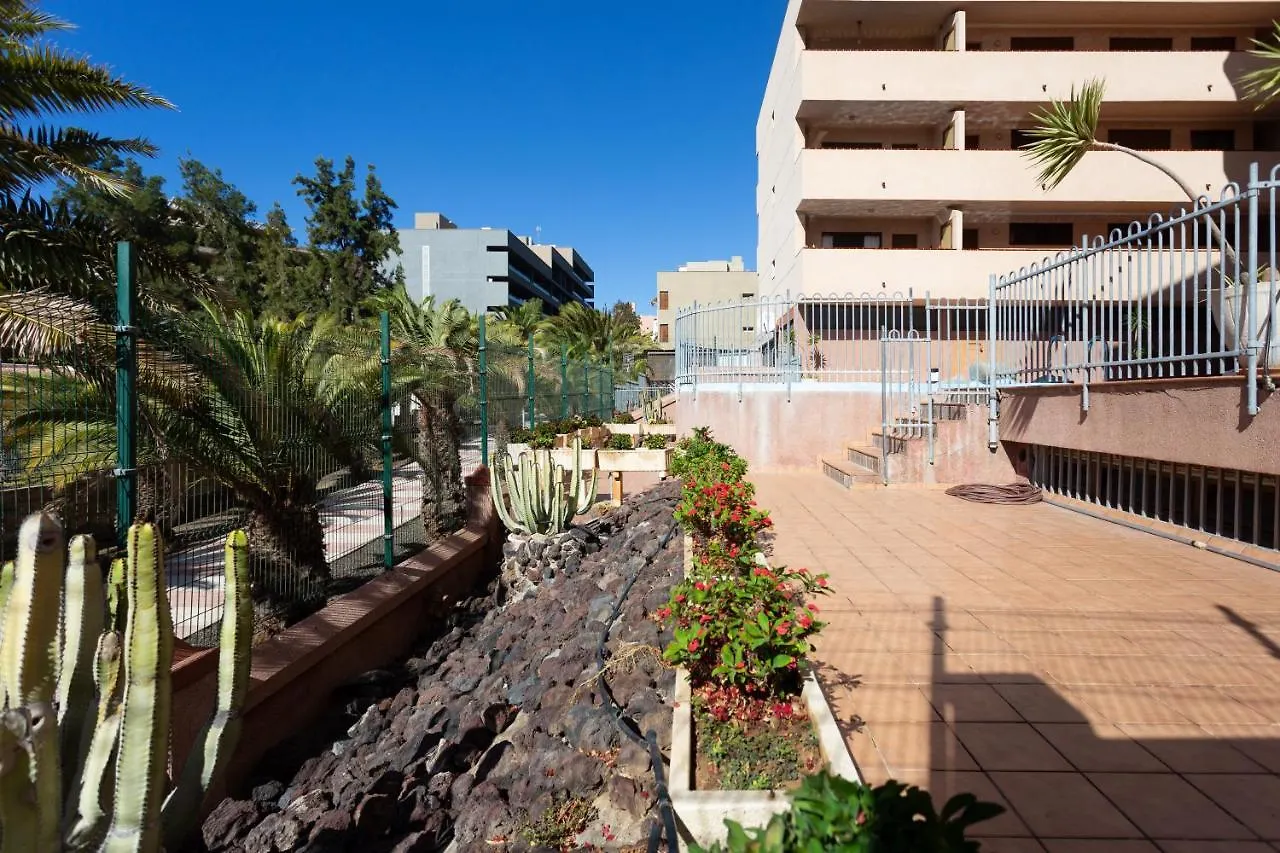 Aticos Los Cristianos Los Cristianos  Appartement Los Cristianos (Tenerife)
